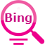 Bing Index